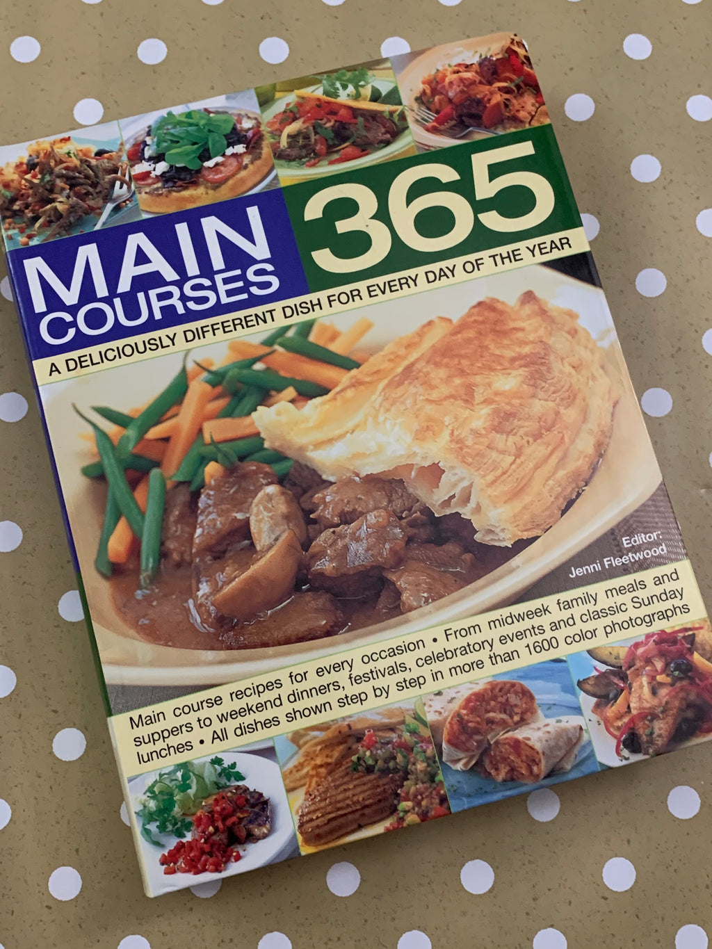 Main Courses 365: A Delicious Different Dish for Every Day of the Year